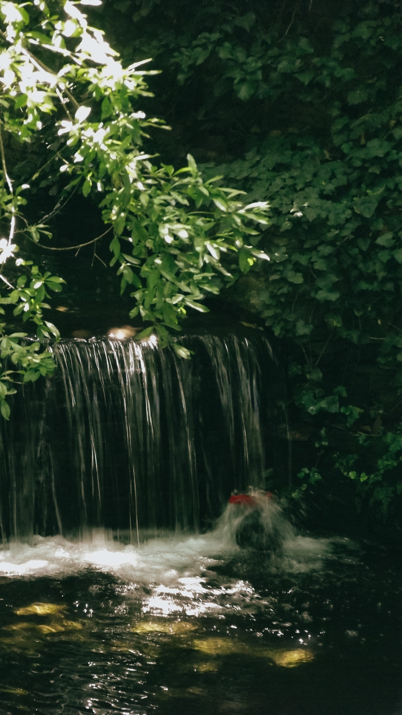 Photo by Esranur Kalay - Pexels